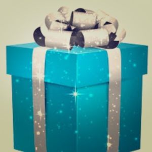 Agnes and Dora Mystery Box